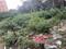 Pandhari Nagar, Handewadi Main Image 1
