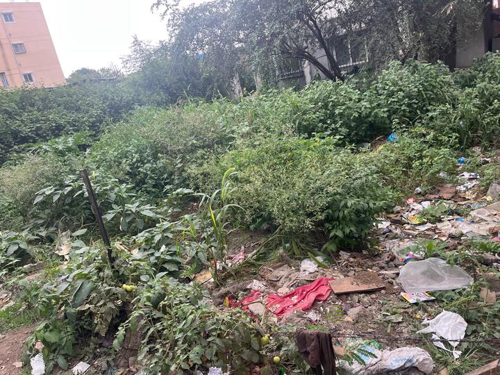 Pandhari Nagar, Handewadi Main Image 1