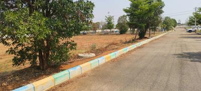 Residential Plot