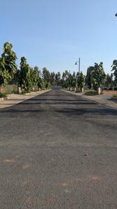Residential Plot