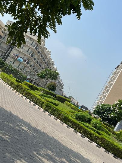 Sector 85 Main Image 1
