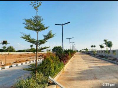 Residential Plot