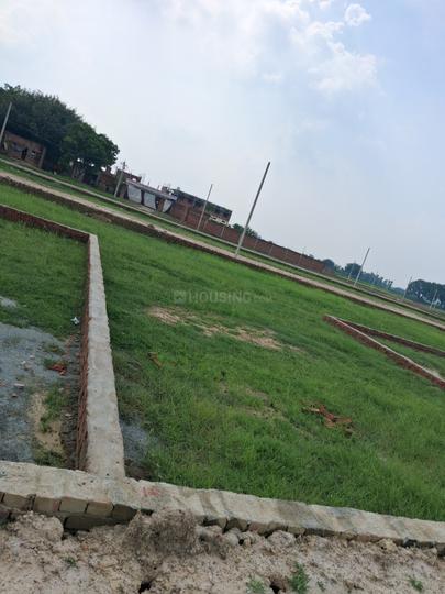Barai Main Image 1