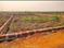 Patrapada Plot View 2