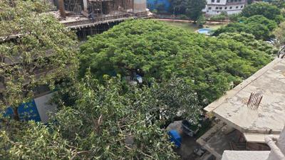 Image of 800 Sq.ft 2 BHK Apartment / Flat for rent in Andheri West, Mumbai for Rs. 90000