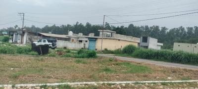 Image of 1400 Sq.ft Residential Plot / Land for sale in Doiwala, Dehradun for Rs. 3700000