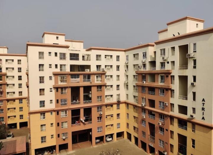 Pristine Zircon Main Image 1