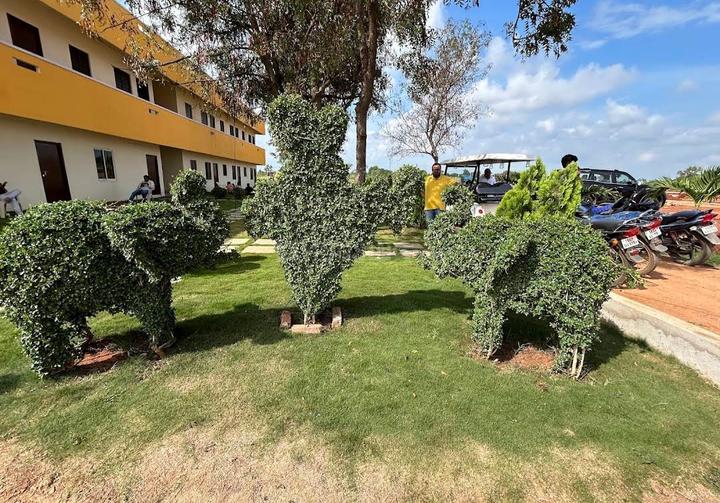 Aduri Iconic 2 Main Image 1