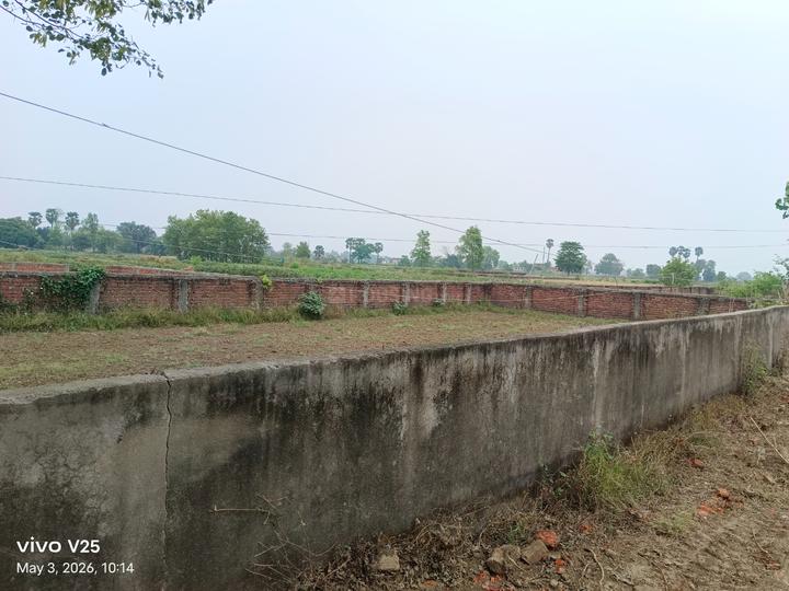 Phulwari Sharif Main Image 1