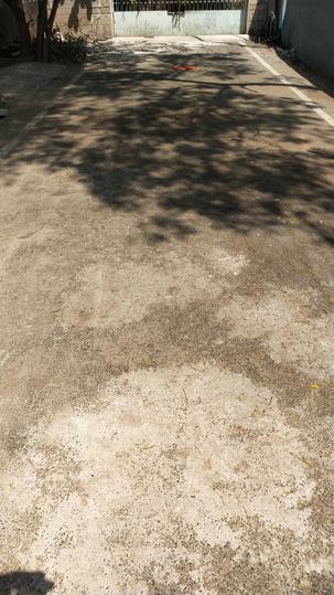 Neelankarai land Main Image 1