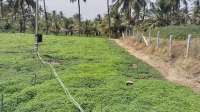 Image of 9156 Sq.ft Residential Plot / Land for sale in Old Rayakottah Hudco, Hosur for Rs. 8400000