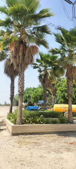 Signature Park Main Image 1