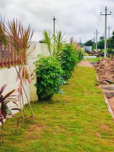 Residential Plot