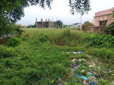 PVT PLOT Plot View 1