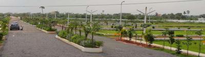 Residential Plot