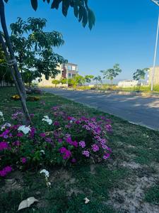 Image of 500 Sq.ft Residential Plot / Land for sale in Manohar The Palm Residency, New Chandigarh, Chandigarh for Rs. 50000000