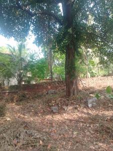 Image of 3659 Sq.ft Residential Plot / Land for sale in Chembukkav, Thrissur for Rs. 19300000