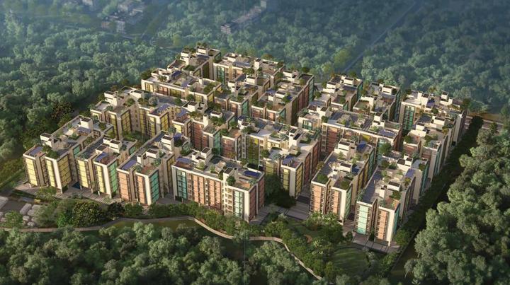 The Senses Main Image 1