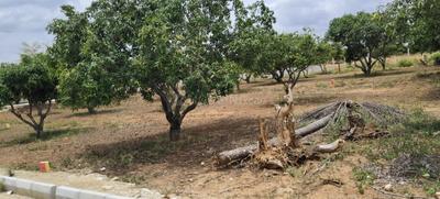 Image of 5990 Sq.ft Residential Plot / Land for sale in Narsapura, Kolar for Rs. 3594000