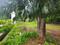 Old Goa Lodha Plots Main Image 1