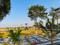 Navi Bagh Plot View 2