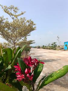 Image of 2145 Sq.ft Residential Plot / Land for sale in Bliss Valley, Tadepalli, Vijayawada for Rs. 7440000