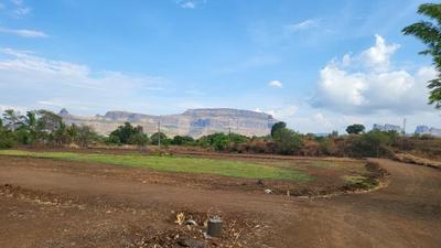 Pimplad Trimbak Plot View 2