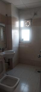 Bathroom Image of 1247 Sq.ft 2 BHK Apartment / Flat for rent in Jaypee Klassic , Sector 129 Noida for Rs. 28500