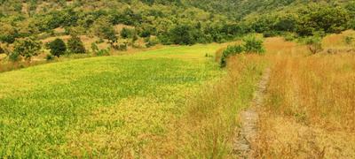 Image of 11000 Sq.ft Residential Plot / Land for sale in Varve Khurd, Pune for Rs. 2100000