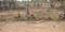 ASB Sai Nagar Main Image 1