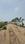 The Kanha Farms and Resorts Main Image 1