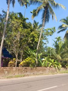 Image of 4356 Sq.ft Residential Plot / Land for sale in Illathaazha, Kannur for Rs. 7000000