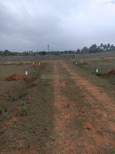 Thondamuthur Main Image 1