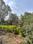 Gunjan Park Society Plot View 2