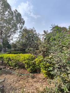 Green Field Plot View 2