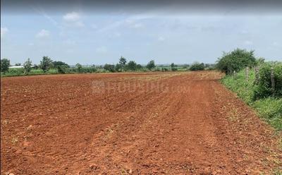 Agricultural Land
