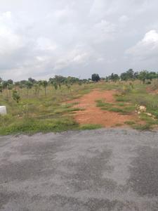 Image of 4384 Sq.ft 3 BHK Farm House for sale in Tata Nagar, Tirupathi for Rs. 1093500