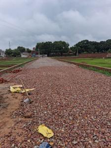 Basani Plot View 1