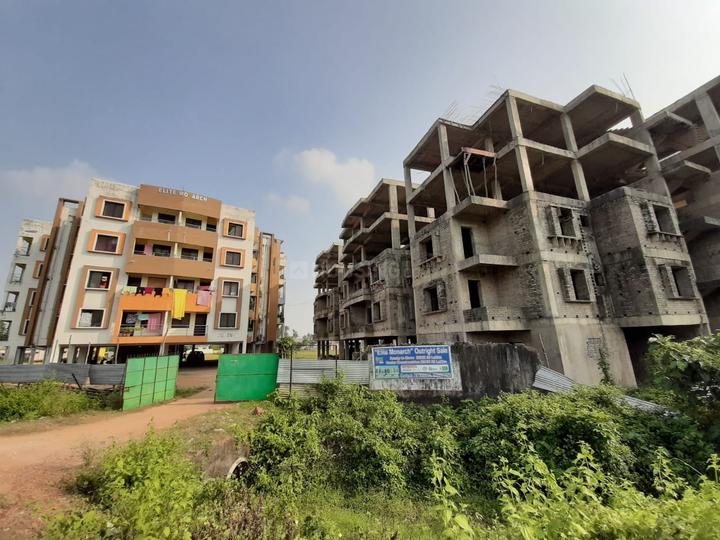 elite monarch Main Image 1