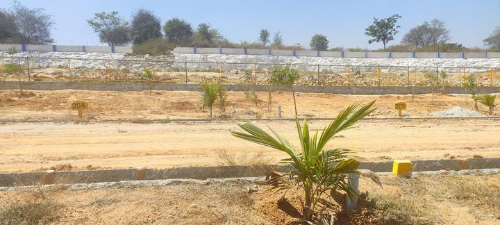 Chikkakannalli Main Image 1