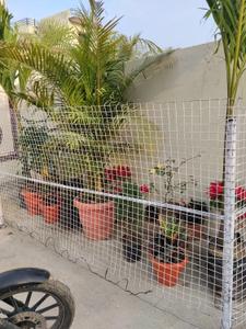 Image of 1100 Sq.ft 3 BHK Independent House for rent in Kapil Nagar, Bilaspur for Rs. 12000