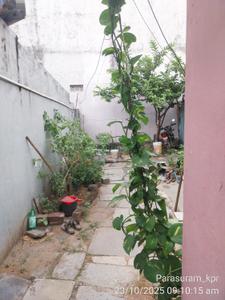 Image of 945 Sq.ft 1 RK Independent House for sale in Narapally, Hyderabad for Rs. 5000000