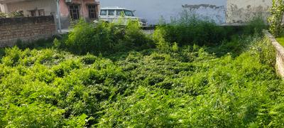 Residential Plot