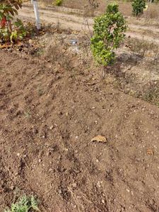 Image of 2226 Sq.ft Residential Plot / Land for sale in Lulla Nagar, Pune for Rs. 1113000