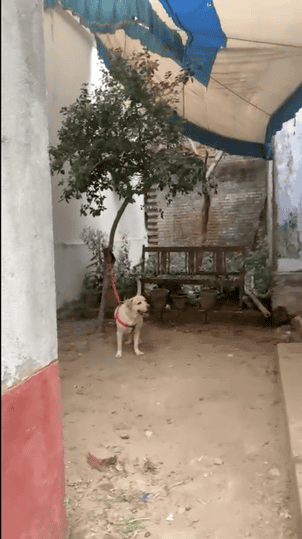 Ramna Main Image 1