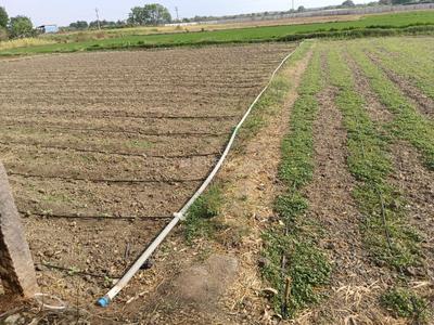 Image of 2420 Sq.ft Residential Plot / Land for sale in Maheshwaram, Hyderabad for Rs. 12000000