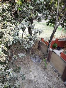 Balcony Image of 450 Sq.ft 1 BHK Independent House for rent in Sodepur Kolkata for Rs. 5000