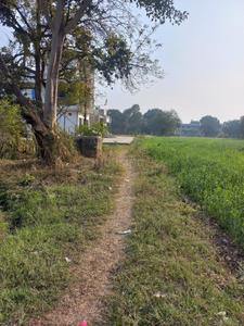 Image of 10441 Sq.ft Residential Plot / Land for sale in Rau, Indore for Rs. 20882000
