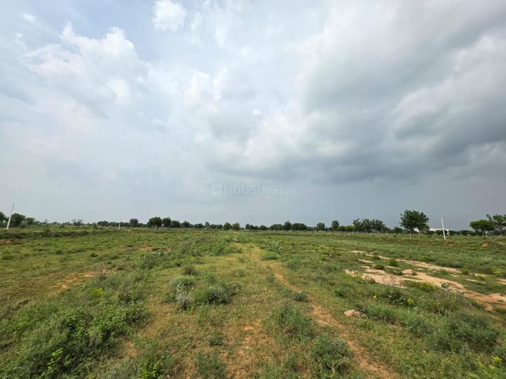 Rajdhani metropoly Main Image 1