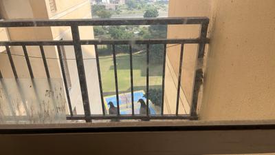 Living Room Image of 950 Sq.ft 2 BHK Apartment / Flat for sale in Jaypee Kosmos, Sector 134 Noida for Rs. 7500000